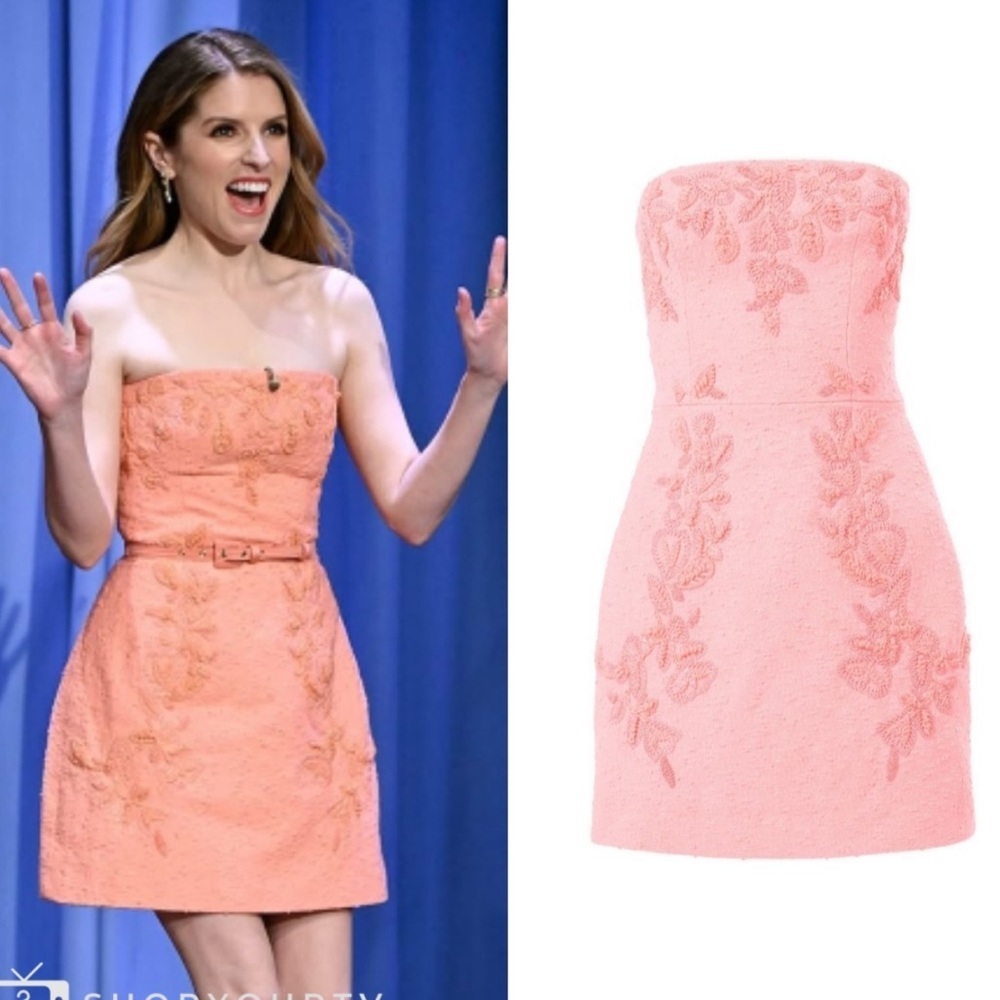 New CAROLINA HERRERA Runaway Embroidered Mini Dress In Pink Size 6 - Picture 8 of 16